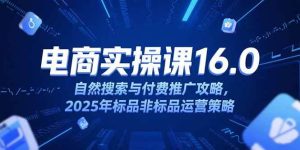 淘宝电商运营课16.0，自然搜索与付费推广攻略，2025年标品非标品运营策略 – 战狼项目网_分享创业资讯_最新网络项目资源-生财有道