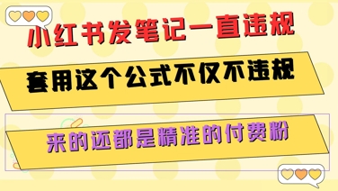小红书发笔记一直违规，套用这个公式不仅不违规，来的还都是精准的付费粉 – 战狼项目网_分享创业资讯_最新网络项目资源-生财有道