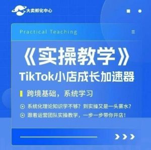 大卖家孵化中心TikTok实操课，TikTok小店成长加速器，跨境基础系统学习，一步一步带你开店 – 战狼项目网_分享创业资讯_最新网络项目资源-生财有道