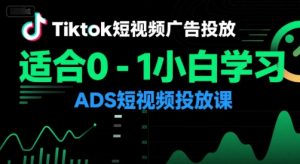 Tiktok短视频广告投放，适合0-1小白学习ADS短视频投放课 – 战狼项目网_分享创业资讯_最新网络项目资源-生财有道