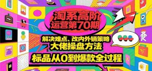 淘系高阶运营第70期，解决难点、改内外销策略，大佬操盘方法，标品从0到爆款全过程 – 战狼项目网_分享创业资讯_最新网络项目资源-生财有道