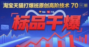 淘宝天猫打爆班原创高阶技术第70期：标品干爆 – 战狼项目网_分享创业资讯_最新网络项目资源-生财有道