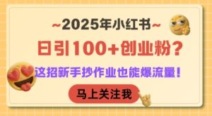 2025年小红书日引100+创业粉？这招新手抄作业也能爆流量！ – 战狼项目网_分享创业资讯_最新网络项目资源-生财有道