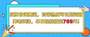 减肥食谱赛道，自带热度可长期运营，养老玩法，单日轻松搞定769 – 战狼项目网_分享创业资讯_最新网络项目资源-生财有道