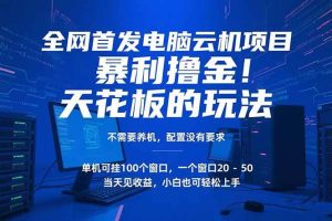 电脑云机项目 暴力撸金玩法，不需要养机 配置没有要求 单机100个窗口一… – 战狼项目网_分享创业资讯_最新网络项目资源-生财有道