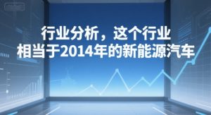 付费文章：行业分析，这个行业，相当于2014年的新能源汽车 – 战狼项目网_分享创业资讯_最新网络项目资源-生财有道