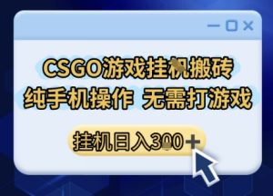 CSGO游戏挂G搬砖，小白纯手机即可操作，不用电脑打游戏，日入3张+，副业网创项目【揭秘】 – 战狼项目网_分享创业资讯_最新网络项目资源-生财有道