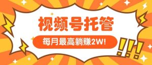 【视频号托管 】我提供视频，你每天５分钟复制发布，最高月入1W – 战狼项目网_分享创业资讯_最新网络项目资源-生财有道
