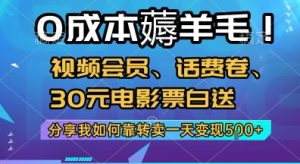 0成本薅羊毛!视频会员、话费卷、30元电影票白送，分享我如何靠转卖一天变现5张+【揭秘】 – 战狼项目网_分享创业资讯_最新网络项目资源-生财有道