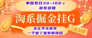 淘系掘金挂G项目，单账号日收益30~100+，多号多得，一个做了就有的项目【揭秘】 – 战狼项目网_分享创业资讯_最新网络项目资源-生财有道