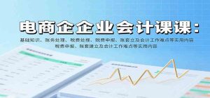 电商企业会计课：基础知识、账务处理、税费申报、账套建立及会计工作难点等实用内容 – 战狼项目网_分享创业资讯_最新网络项目资源-生财有道