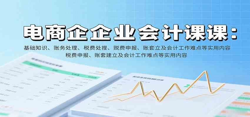 电商企业会计课：基础知识、账务处理、税费申报、账套建立及会计工作难点等实用内容 – 战狼项目网_分享创业资讯_最新网络项目资源-生财有道