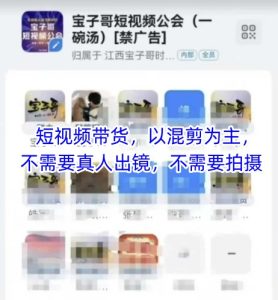 宝子哥头部团队短视频带货，以混剪为主，不需要真人出镜，不需要拍摄【更新8月】 – 战狼项目网_分享创业资讯_最新网络项目资源-生财有道