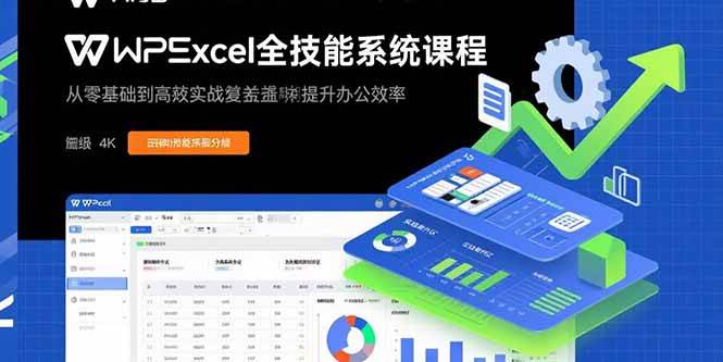 WPS Excel全技能系统课程：从零基础到高阶实战全覆盖，全面提升办公效率 – 战狼项目网_分享创业资讯_最新网络项目资源-生财有道