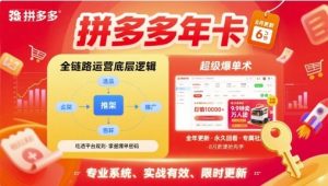 拼多多年卡【8月更新6节】拼多多全链路运营底层逻辑，超级爆单术 – 战狼项目网_分享创业资讯_最新网络项目资源-生财有道