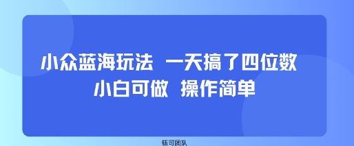 小众蓝海玩法 一天搞了四位数 小白可做 操作简单 – 战狼项目网_分享创业资讯_最新网络项目资源-生财有道
