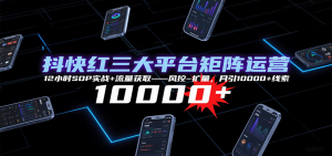 抖快红三大平台矩阵运营，12小时SOP实战+流量获取-风控-扩量，月引10000+线索 – 战狼项目网_分享创业资讯_最新网络项目资源-生财有道