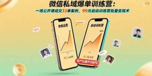 微信私域爆单训练营：一场公开课成交33单案例，99元自动训练营批量变现术 – 战狼项目网_分享创业资讯_最新网络项目资源-生财有道