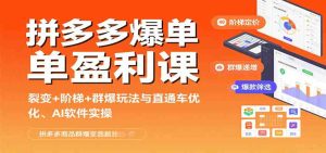 拼多多爆单盈利课：裂变+阶梯+群爆玩法与直通车优化、AI 软件实操 – 战狼项目网_分享创业资讯_最新网络项目资源-生财有道