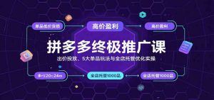 拼多多终极推广课：出价投放、5大单品玩法与全店托管优化实操 – 战狼项目网_分享创业资讯_最新网络项目资源-生财有道