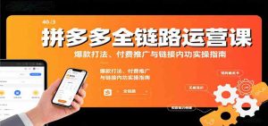 拼多多全链路运营课，爆款打法、付费推广与链接内功实操指南 – 战狼项目网_分享创业资讯_最新网络项目资源-生财有道