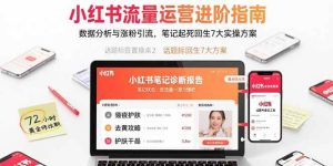 小红书流量运营进阶指南，数据分析与涨粉引流，笔记起死回生7大实操方案 – 战狼项目网_分享创业资讯_最新网络项目资源-生财有道