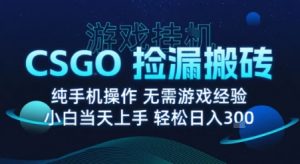 8月最新游戏搬砖，CSGO纯挂G，不需要玩游戏，实现真挂G，月入1W+【揭秘】 – 战狼项目网_分享创业资讯_最新网络项目资源-生财有道