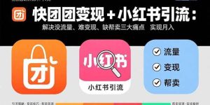 快团团变现+小红书引流：解决没流量、难变现、缺帮卖三大痛点 实现月入3w+ – 战狼项目网_分享创业资讯_最新网络项目资源-生财有道
