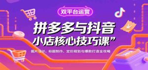 拼多多与抖音小店核心技巧课，图片设计、标题制作、定价规划与爆款打造全攻略 – 战狼项目网_分享创业资讯_最新网络项目资源-生财有道