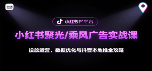 小红书聚光/乘风广告实战课：投放运营、数据优化与抖音本地推全攻略 – 战狼项目网_分享创业资讯_最新网络项目资源-生财有道