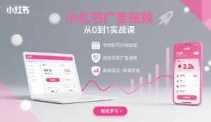 小红书广告投放从0到1的实战课，学完即可开始投放，拒绝无效广告消耗 – 战狼项目网_分享创业资讯_最新网络项目资源-生财有道