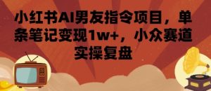 小红书AI男友指令项目，单条笔记变现1w+，小众赛道实操复盘 – 战狼项目网_分享创业资讯_最新网络项目资源-生财有道