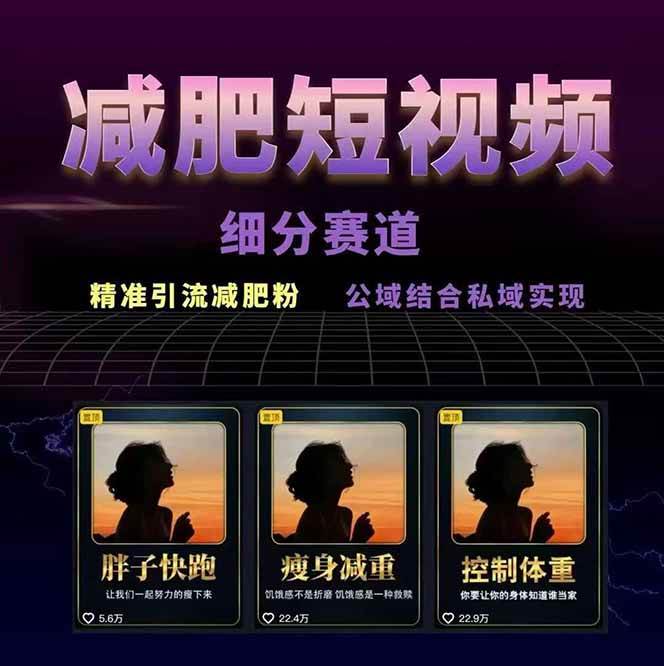 图片[2]-减肥短视频赛道运营课：素材准备-视频制作-引流变现全流程 (附素材) – 战狼项目网_分享创业资讯_最新网络项目资源-生财有道