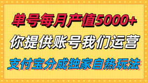 单月产值5000+，支付宝分成代运营，你提供账号坐等分钱，我们帮你运营 – 战狼项目网_分享创业资讯_最新网络项目资源-生财有道
