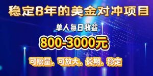 稳定8年的美金对冲创业项目，单人每日收益800-3000，小众暴力项目 – 战狼项目网_分享创业资讯_最新网络项目资源-生财有道