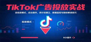 TikTok广告投放实战，含投放模式、后台操作，讲计划建立、数据监控与指标解读技巧 – 战狼项目网_分享创业资讯_最新网络项目资源-生财有道