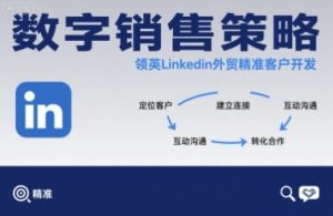 数字销售策略领英LinkedIn外贸精准客户开发 – 战狼项目网_分享创业资讯_最新网络项目资源-生财有道