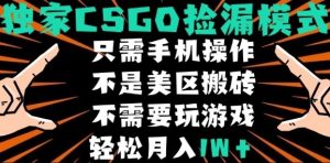 CSGO自动捡漏项目，最新独家玩法，不是美区搬砖，不需要了解和玩游戏，新手小白轻松月入1W+【揭秘】 – 战狼项目网_分享创业资讯_最新网络项目资源-生财有道