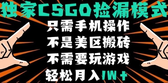 CSGO自动捡漏项目，最新独家玩法，不是美区搬砖，不需要了解和玩游戏，新手小白轻松月入1W+【揭秘】 – 战狼项目网_分享创业资讯_最新网络项目资源-生财有道