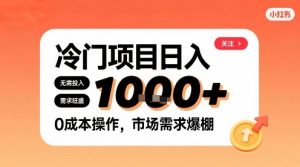 在小红书上发现个冷门路子，需求不小，零成本操作，每天能有1k进账 – 战狼项目网_分享创业资讯_最新网络项目资源-生财有道