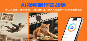 AI视频制作实战：含工具使用、爆款案例，讲拍摄剪辑、数字人批量制作与账号运营变现 – 战狼项目网_分享创业资讯_最新网络项目资源-生财有道