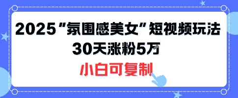不露脸也能火！2025“氛围感美女”短视频玩法，30天涨粉5W小白可复制 – 战狼项目网_分享创业资讯_最新网络项目资源-生财有道