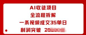 AI收徒项目全流程拆解一条视频成交35单日利润突破1k+ – 战狼项目网_分享创业资讯_最新网络项目资源-生财有道