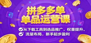 拼多多单品运营课，从下载工具到选品推广，权重提升、流量布局，新手起步盈利 – 战狼项目网_分享创业资讯_最新网络项目资源-生财有道