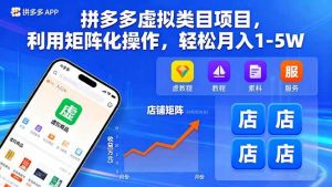 拼多多虚拟类目项目,利用矩阵化操作,轻松月入1-5W – 战狼项目网_分享创业资讯_最新网络项目资源-生财有道