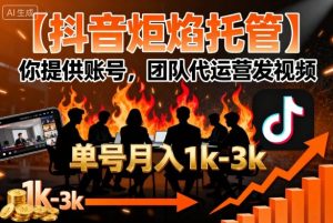 【抖音炬焰托管】你提供账号,团队代运营发视频,单号月入1k+【揭秘】 – 战狼项目网_分享创业资讯_最新网络项目资源-生财有道