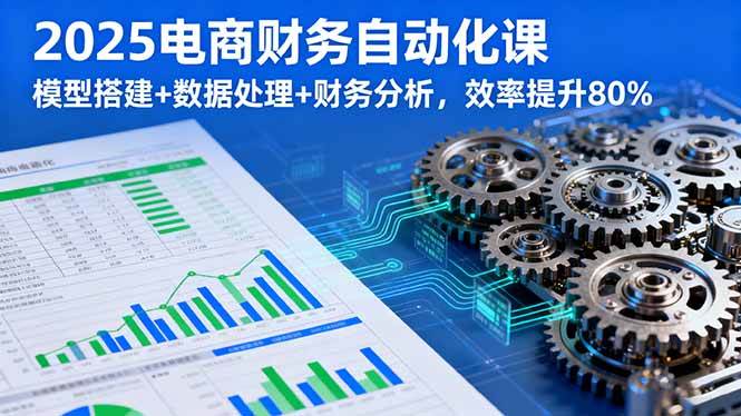 2025电商财务自动化课，模型搭建+数据处理+财务分析，效率提升80% – 战狼项目网_分享创业资讯_最新网络项目资源-生财有道