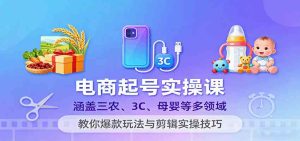 电商起号实操课，涵盖三农、3C、母婴等多领域，教你爆款玩法与剪辑实操技巧 – 战狼项目网_分享创业资讯_最新网络项目资源-生财有道