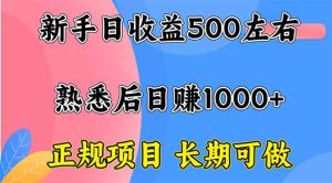 新手日收益500+ 正规项目 长期可做 – 战狼项目网_分享创业资讯_最新网络项目资源-生财有道