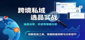 跨境私域选品实战：涵盖谷歌、虾皮等策略分析，详解各类工具，掌握数据洞察与分析技巧 – 战狼项目网_分享创业资讯_最新网络项目资源-生财有道